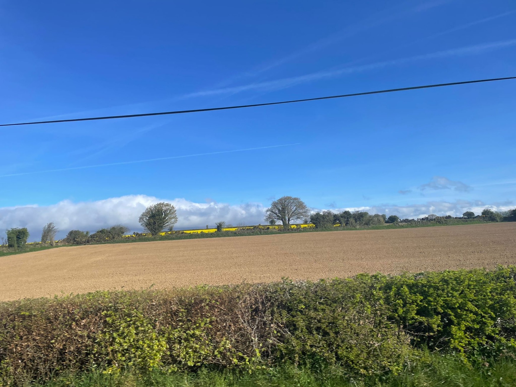 Blue Sky With Clouds